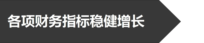 熟妇的味道HD中文字幕