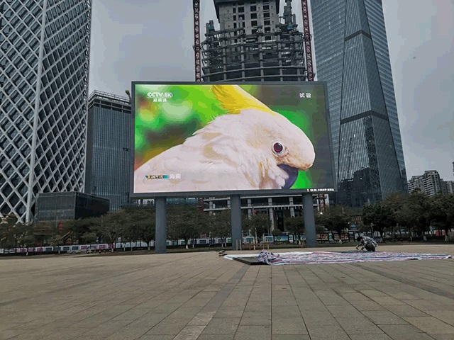 熟妇的味道HD中文字幕